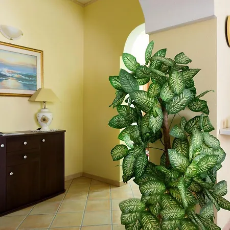 Apartment Appartamento Olbia